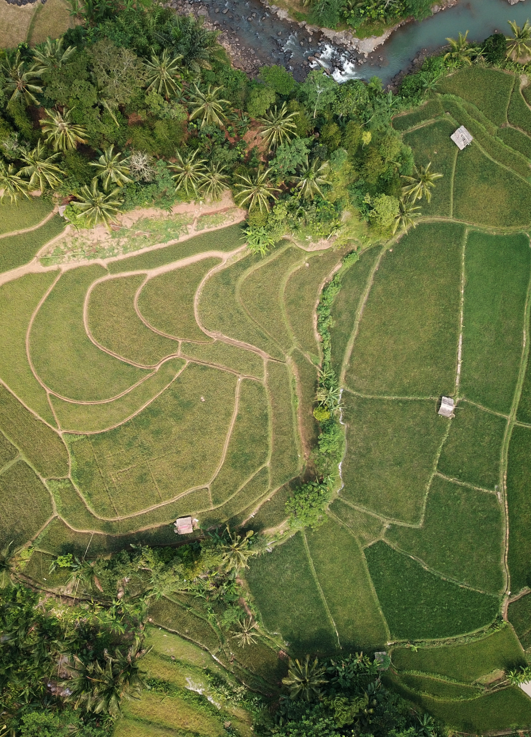 Derecho Civil Bienes y Herencias