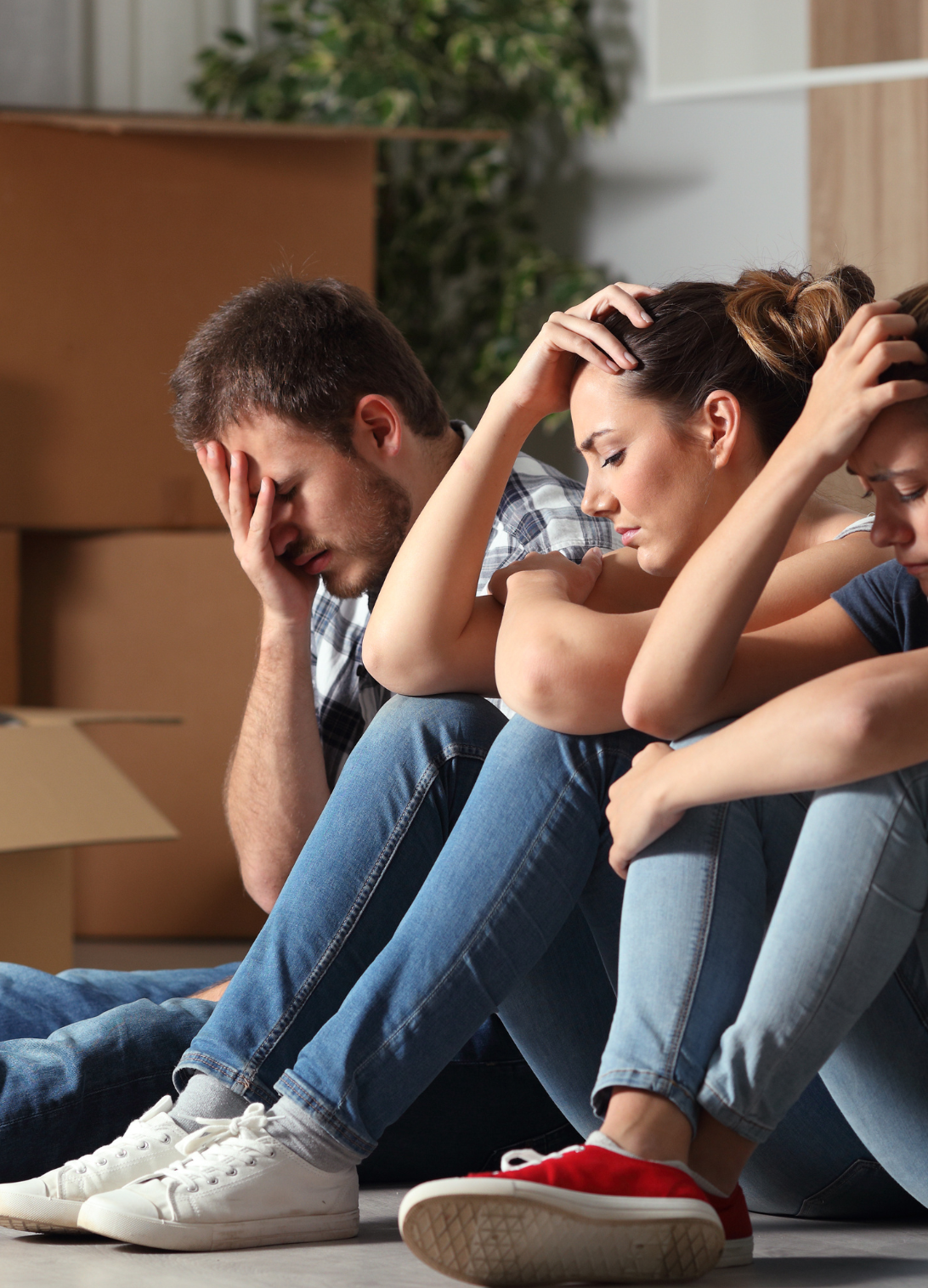 Derecho Civil Bienes y Herencias